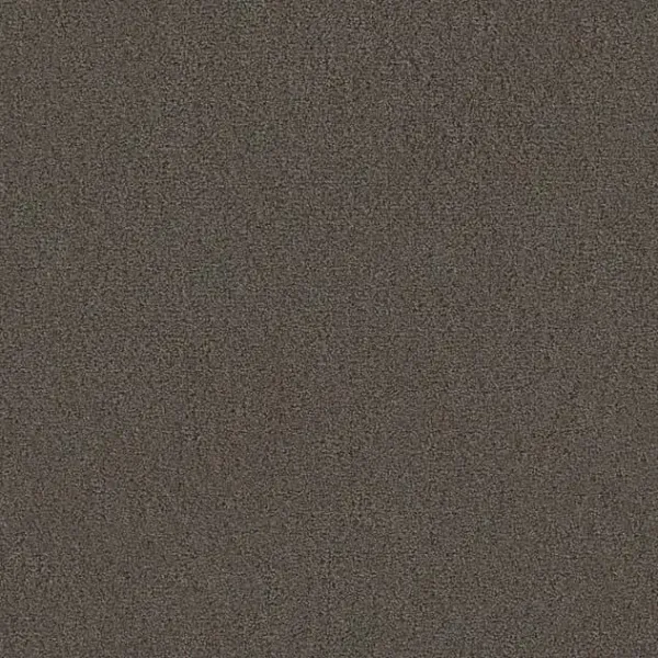 Draufsicht Girloon TWIN Teppichboden Velours 865 Kieselbraun, 2/4 m breit